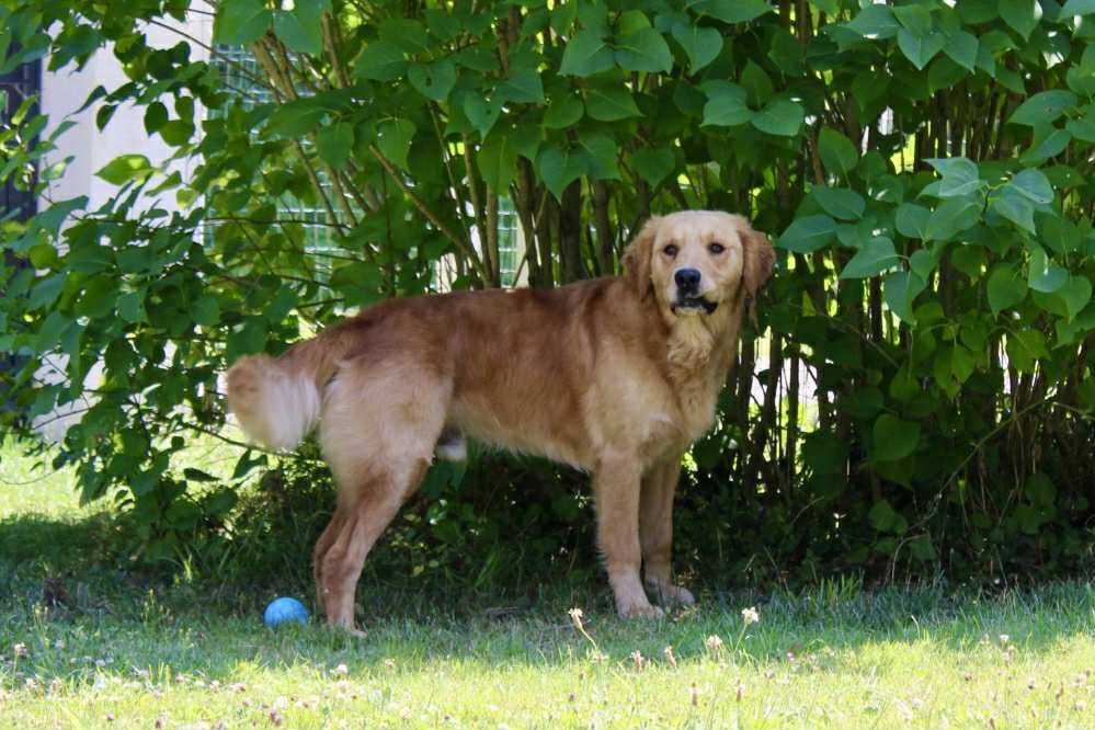 Urkann (Sans Affixe)