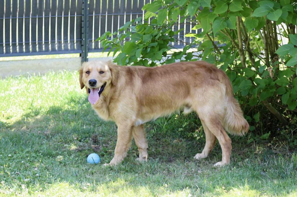 Urkann (Sans Affixe)