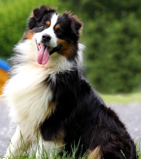 Publication : De Sol Del Norte