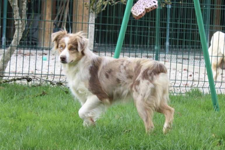 Yness Du Domaine Des Belles Aubois