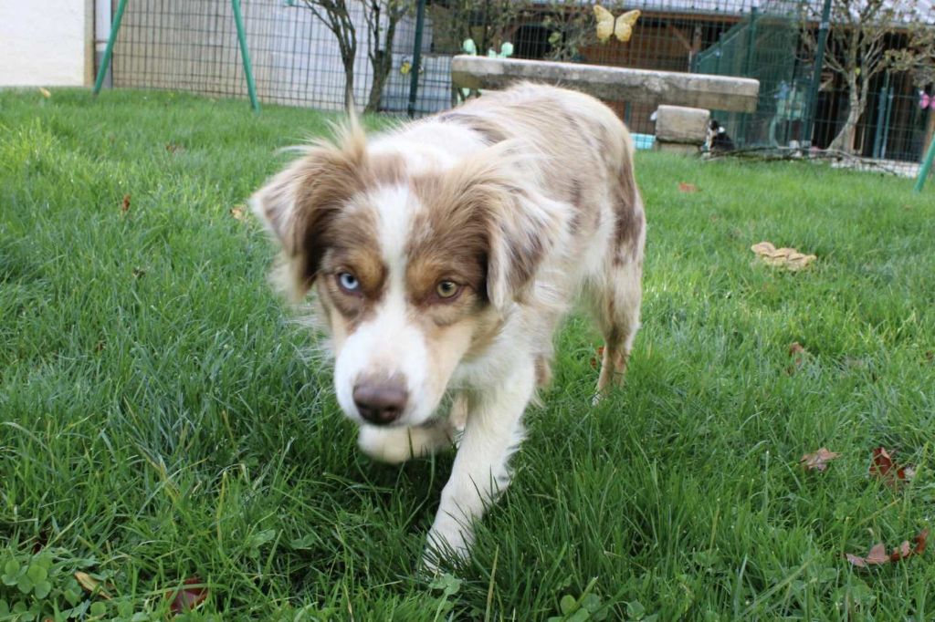 Yness Du Domaine Des Belles Aubois