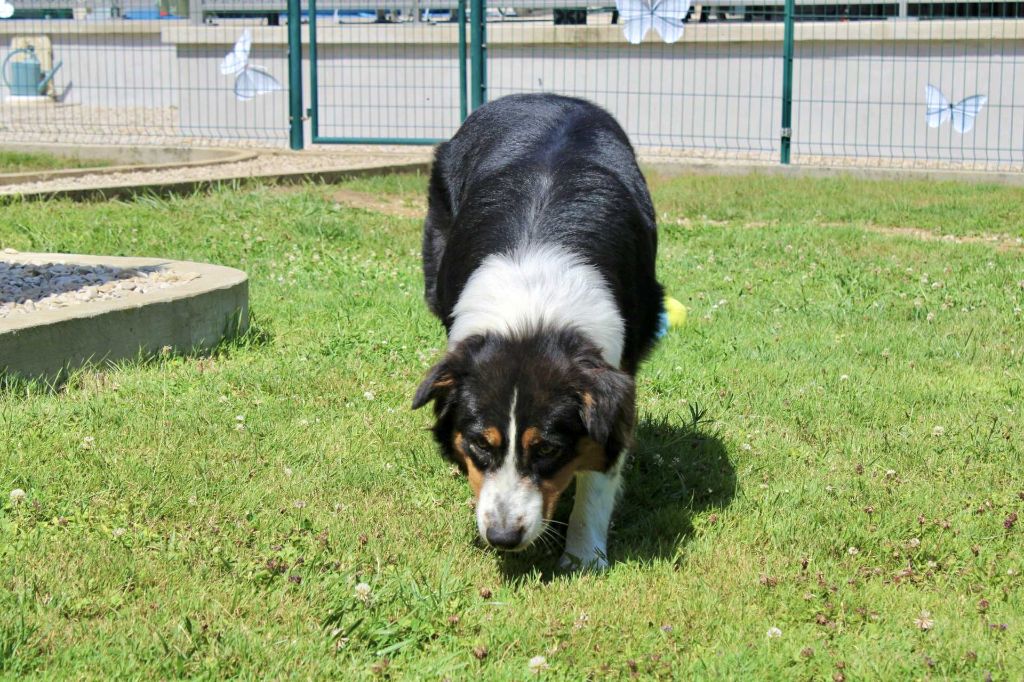 Publication : Du Domaine Des Belles Aubois Auteur : Auroux leonie