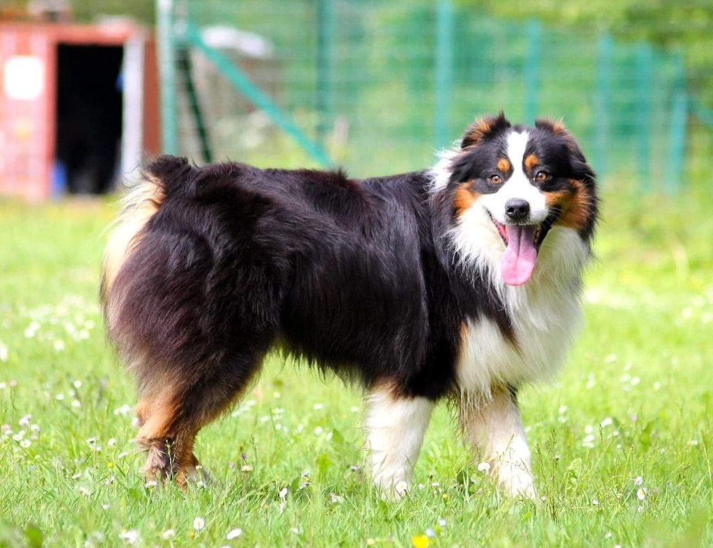 Publication : De Sol Del Norte