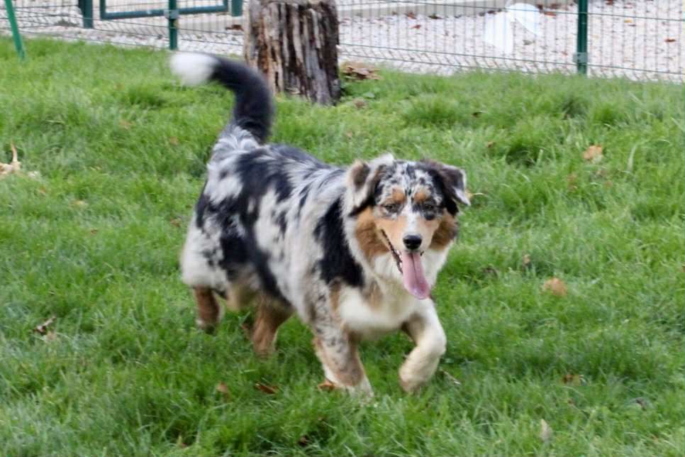 Vickie Du Domaine Des Belles Aubois