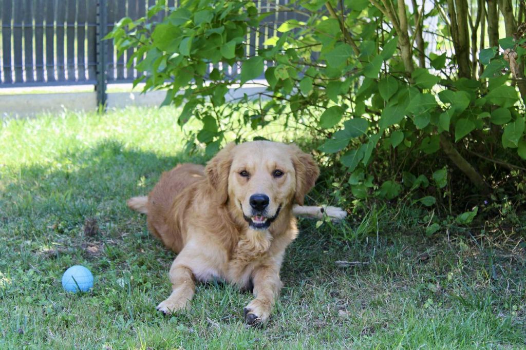 Urkann (Sans Affixe)