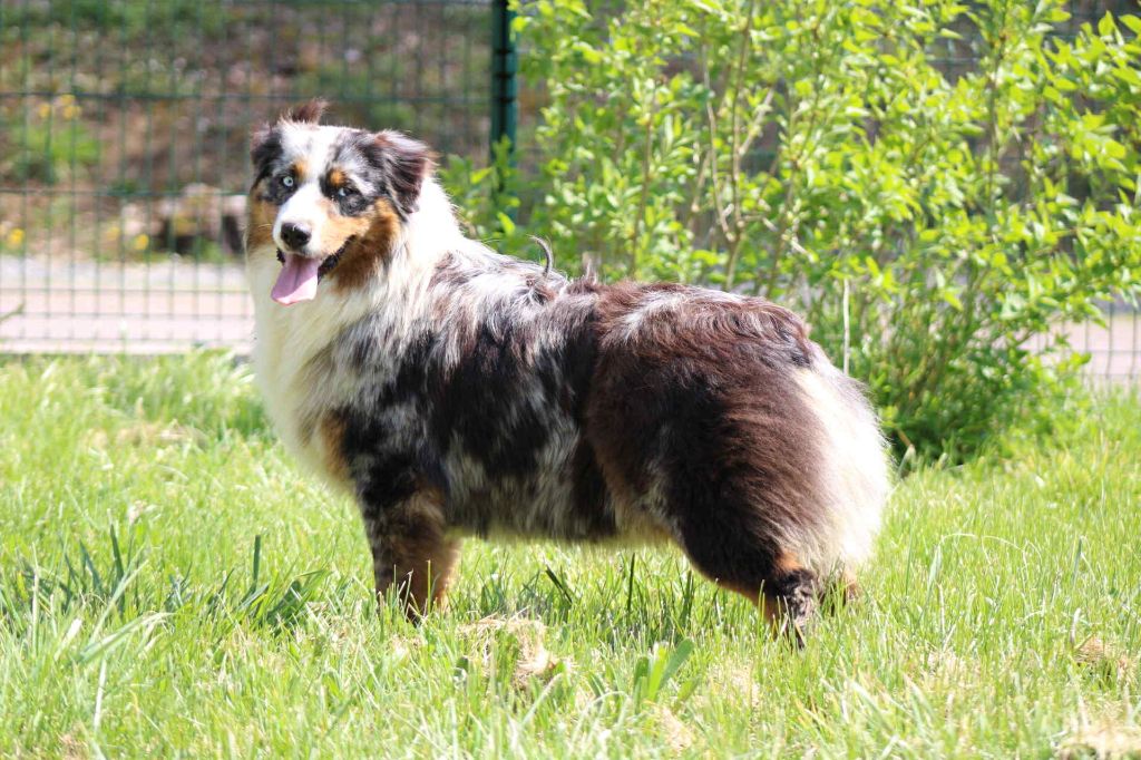 Publication : Du Domaine Des Belles Aubois