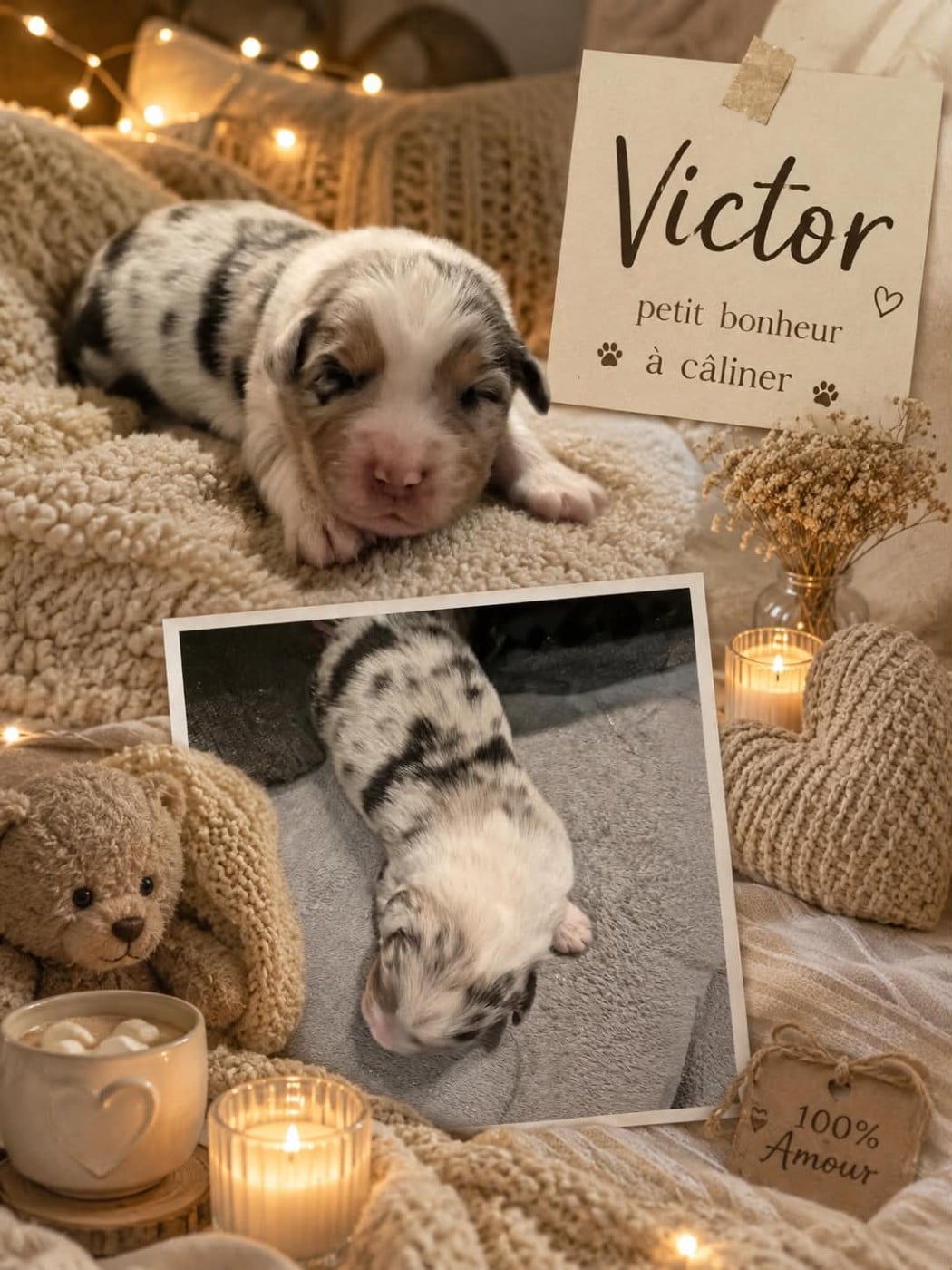 VICTOR - Berger Australien