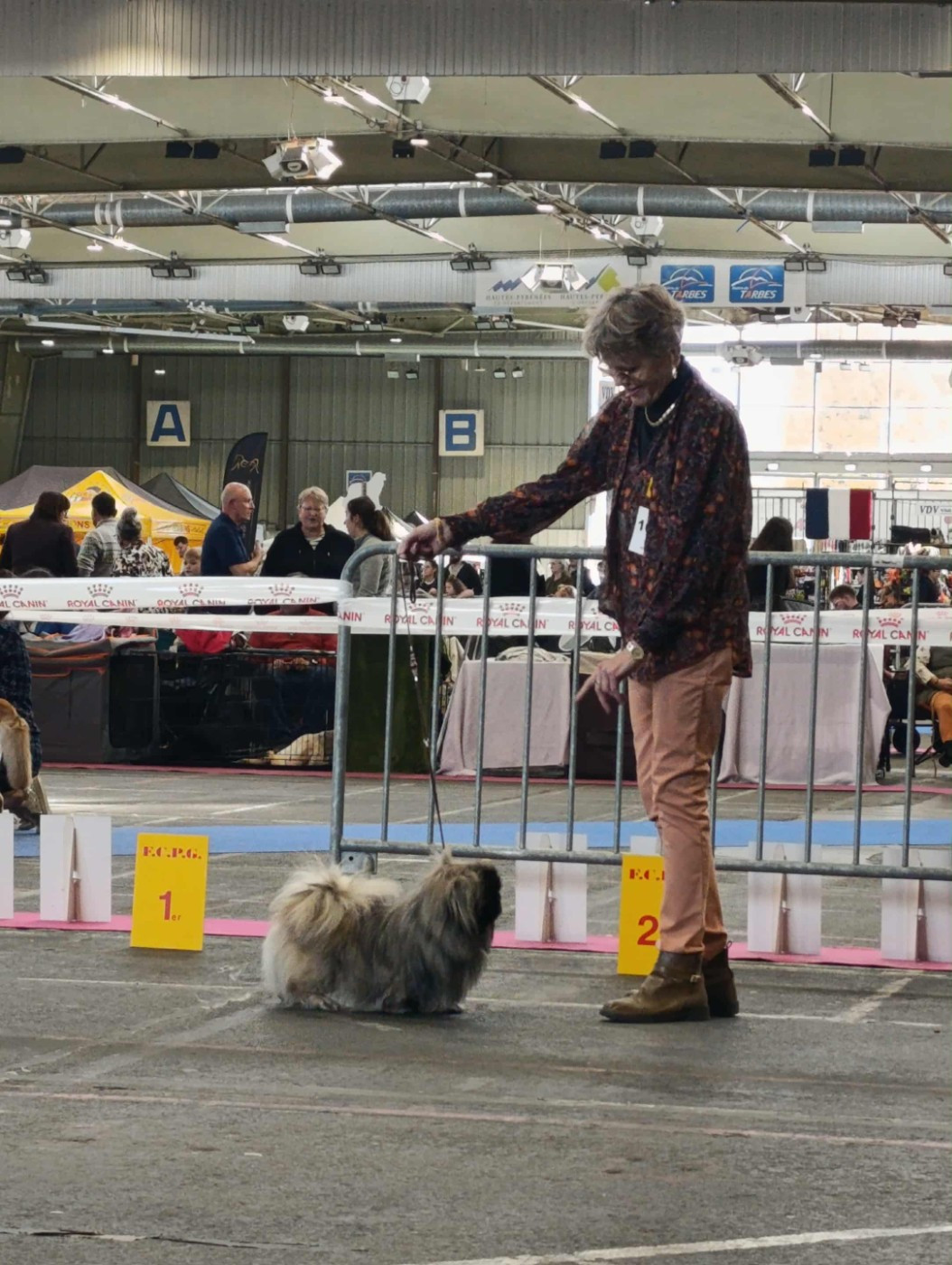 Publication : J M's Vagab Auteur : CLEENEWERCK Brigitte