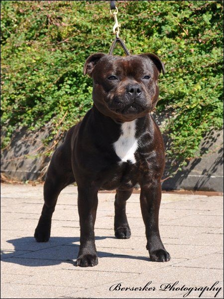 Publication : Memory Of Angels