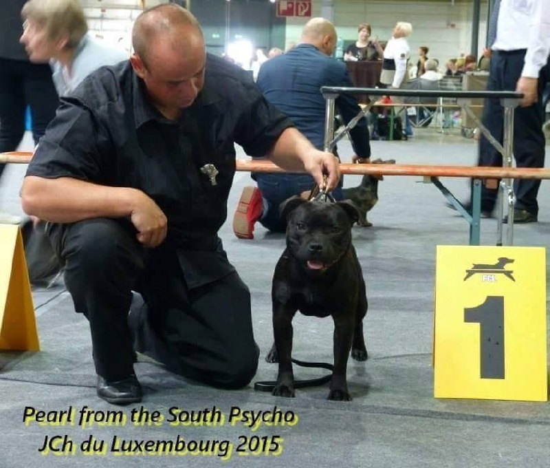 Publication : Memory Of Angels