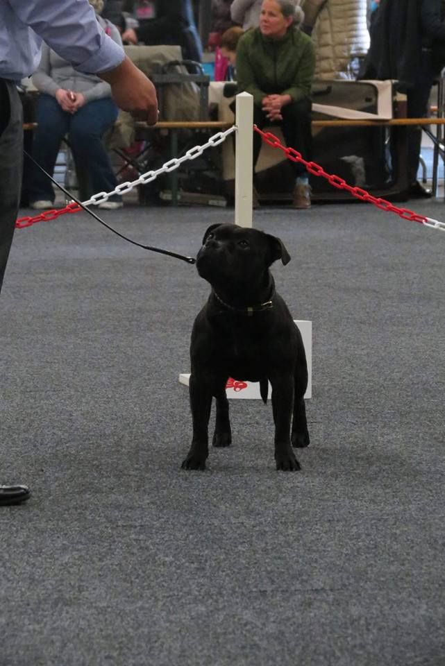 Publication : Memory Of Angels