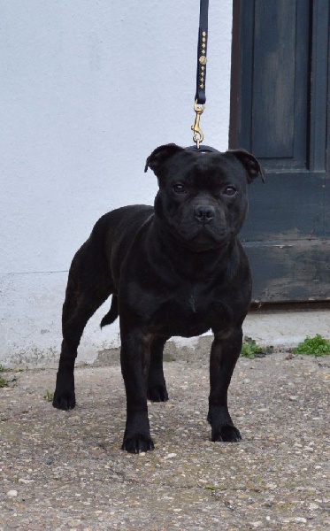 Publication : Memory Of Angels