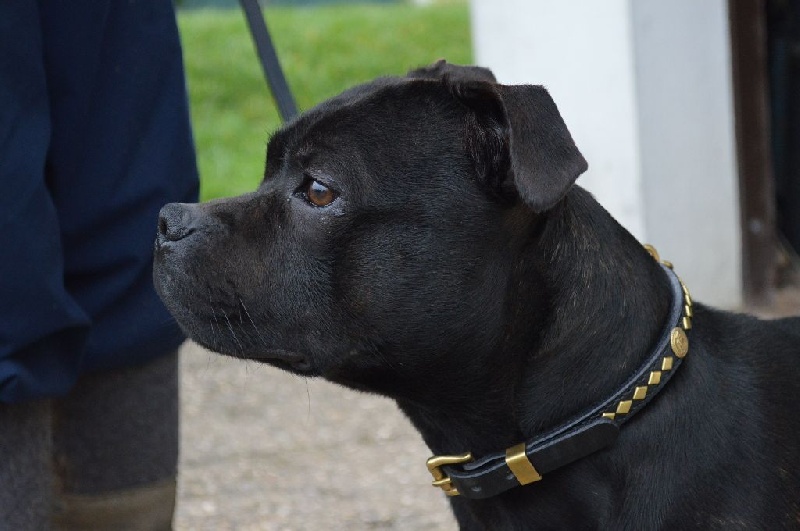 Publication : Memory Of Angels