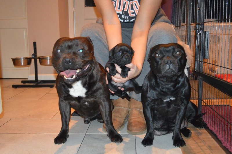 Publication : Memory Of Angels