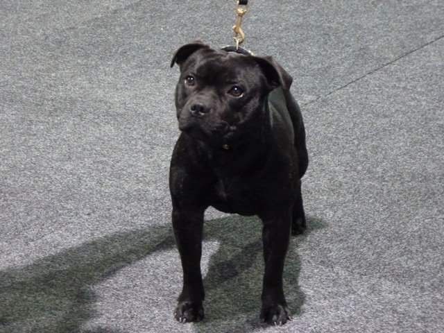 Publication : Memory Of Angels