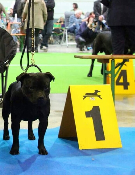 Publication : Memory Of Angels