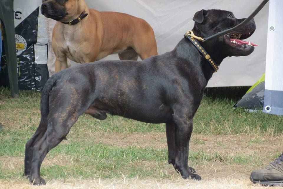 Publication : Memory Of Angels