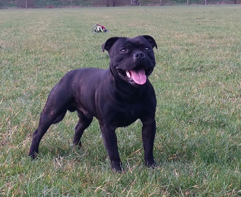 Publication : Memory Of Angels