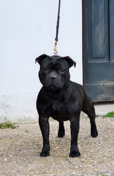 Publication : Memory Of Angels