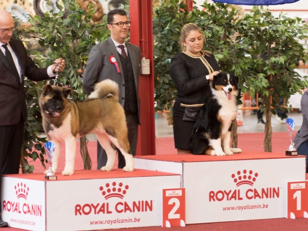 CH. skyron Rock and roll - 1er Tp / BOB PUPPY / BIS PUPPY