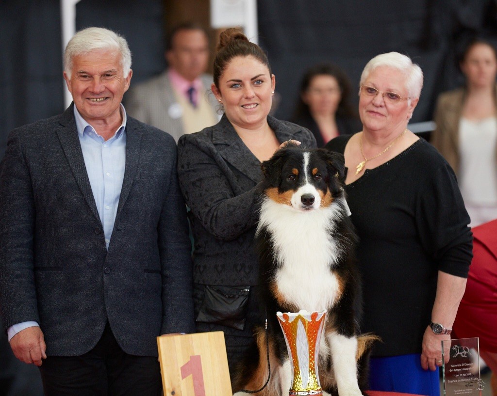 CH. skyron Rock and roll - EXC 1/22 JM - TROPHEE AVENIR - BEST IN SHOW JUNIOR - 2e BEST MALE