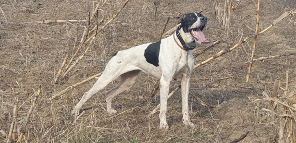 Publication : Des Guerriers Du Vent