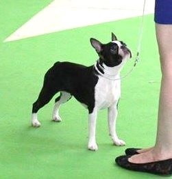 Publication : de la Source Sainte Pétronille