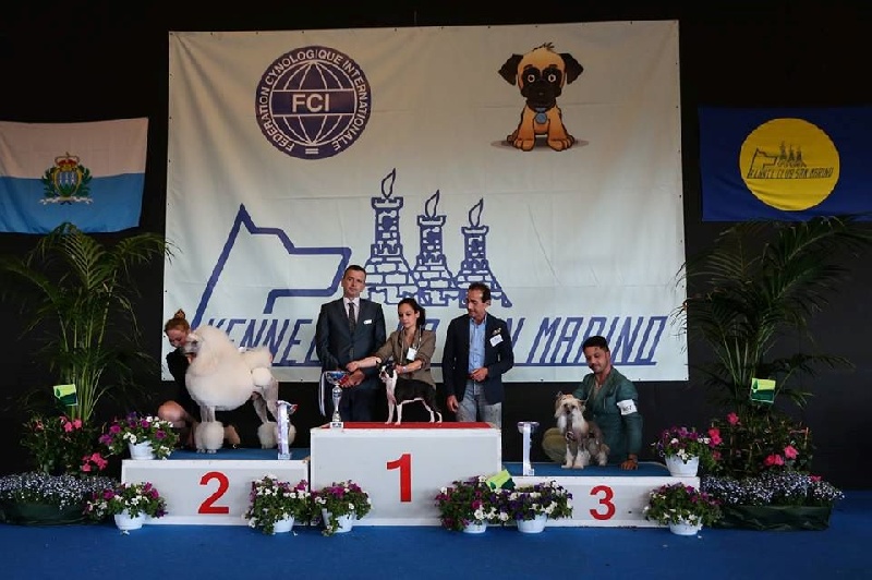 Publication : de la Source Sainte Pétronille