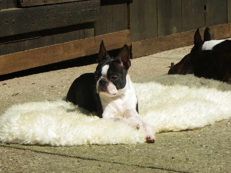 Publication : de la Source Sainte Pétronille