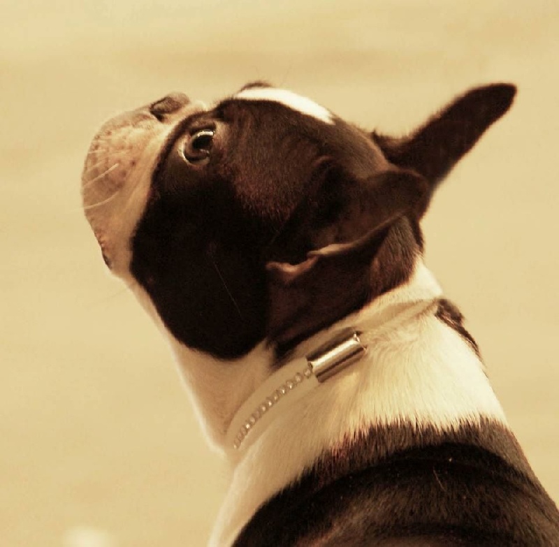 Publication : de la Source Sainte Pétronille