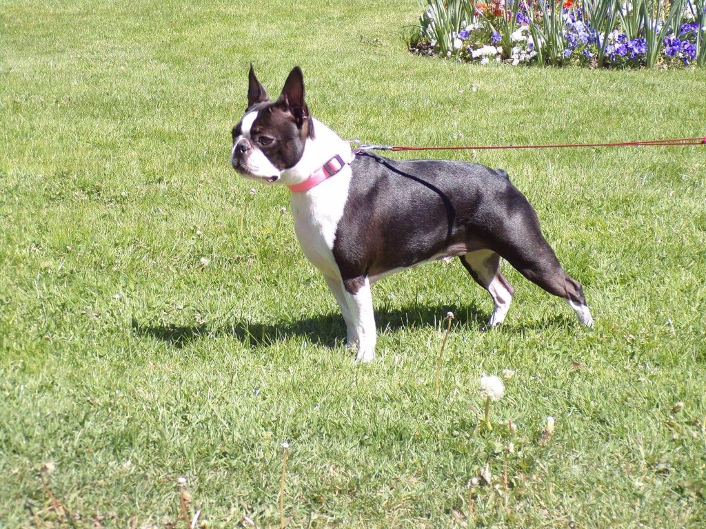 Publication : de la Source Sainte Pétronille