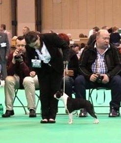 Publication : de la Source Sainte Pétronille