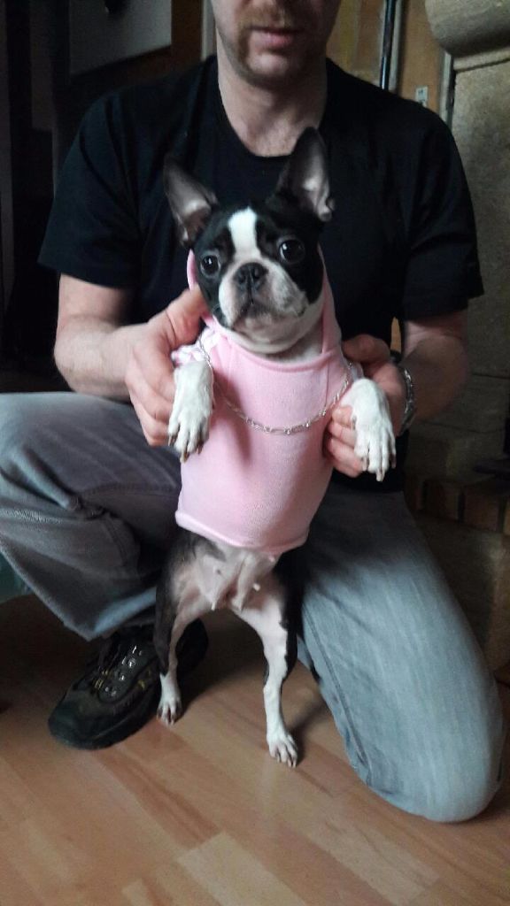 Publication : de la Source Sainte Pétronille