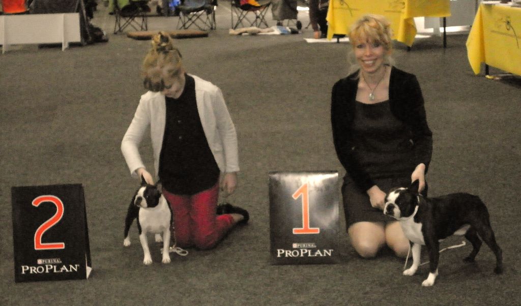 CH. Jewel du grand frenoy - 1 EXC V1 VDH