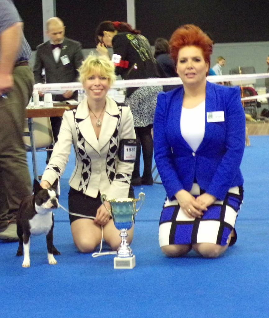 CH. Jewel du grand frenoy - 1er Excellent CAC -CACIB -MEILLEUR DE RACE classe ouverte