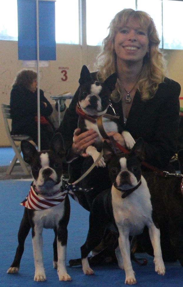 CH. Jewel du grand frenoy - 2 EXC classe JEUNE