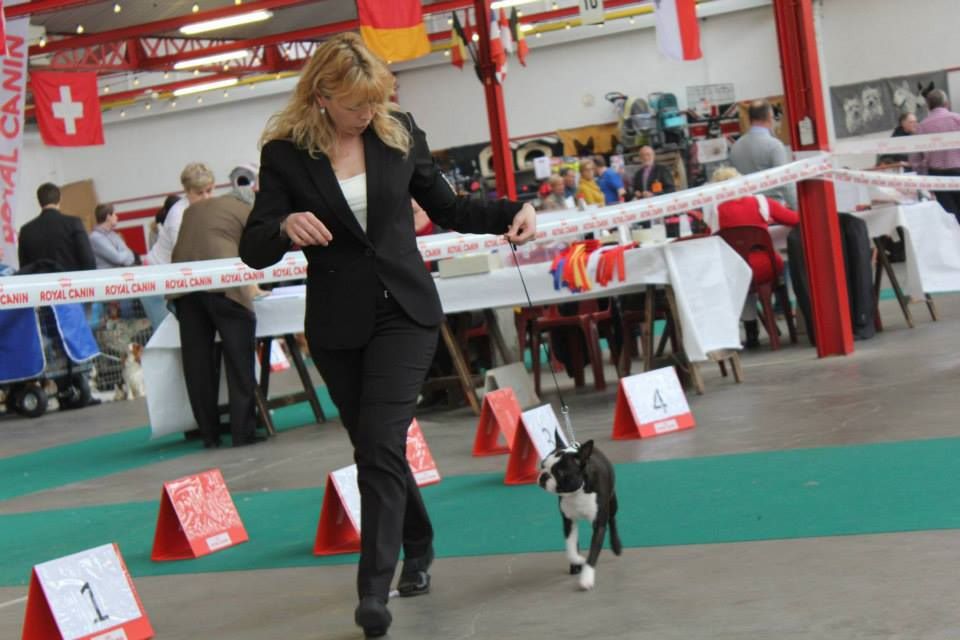 CH. Jewel du grand frenoy - 1ER EXCELLENT CCJ