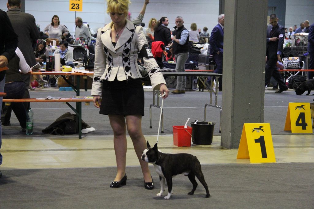 CH. Jewel du grand frenoy - 2 EME EXCELLENT CLASSE OUVERTE