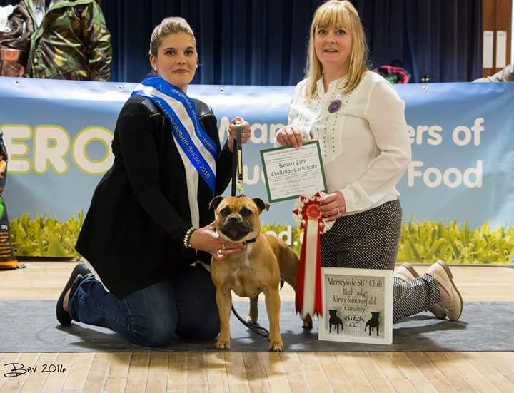 Iloa Des tempêtes du pays breton - 1st PGB BCC & RBIS