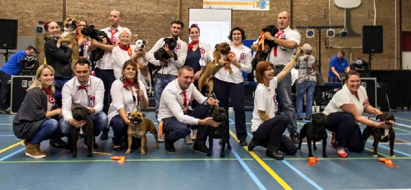 Iloa Des tempêtes du pays breton - L' equipe de france fini 2 eme