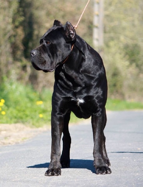 Publication : (Sans Affixe)