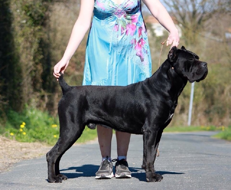 Publication : (Sans Affixe)