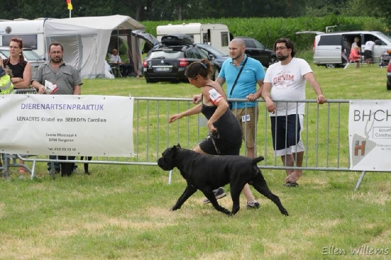 Publication : (Sans Affixe)