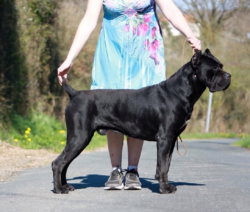 Publication : (Sans Affixe)