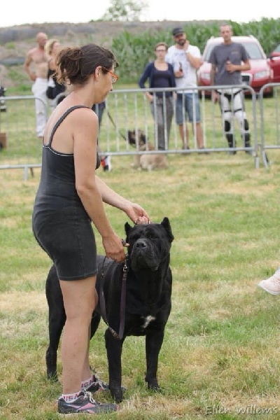 Publication : (Sans Affixe)