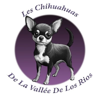 De La Vallée De Los Rios