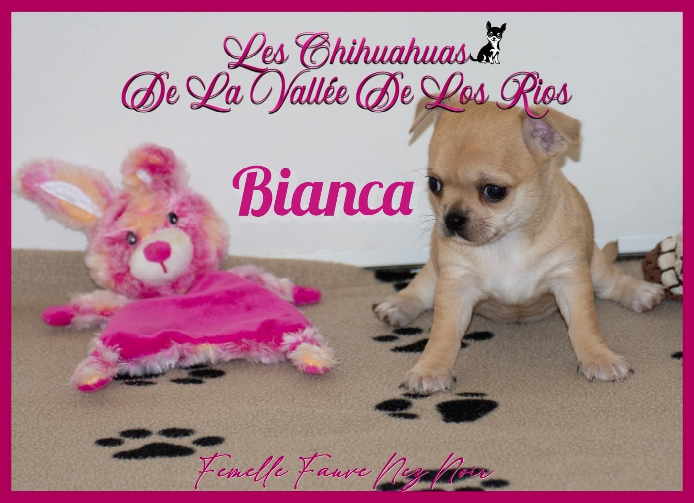 Bianca