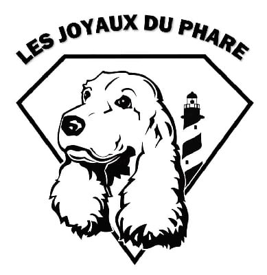 Les Joyaux Du Phare