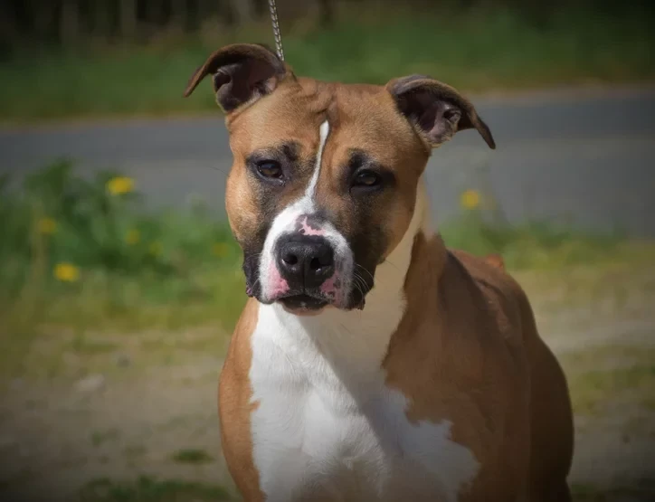 Powerful And Winning