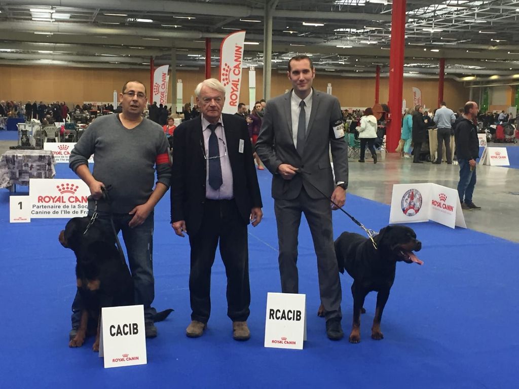 Medal of Honor Jyson - 1er Excellent - CACS - RCACIB